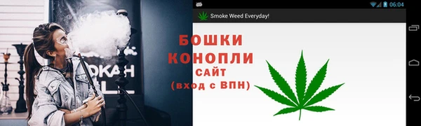 мяу мяу мука Вязьма